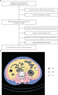 Computed tomography-measured body composition can predict long-term outcomes for stage I-III colorectal cancer patients